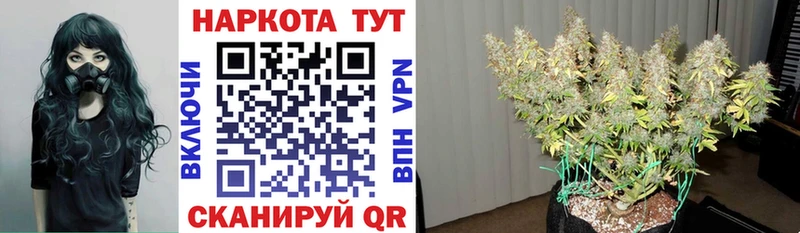 Наркошоп купить Конопля  Меф мяу мяу  Альфа ПВП  КЕТАМИН  ГАШИШ  Гудермес