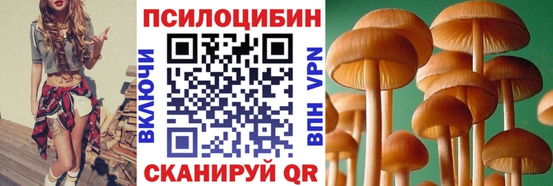 Купить  Гудермес  Галлюциногенные грибы прущие грибы 